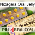 Nizagara Oral Jelly new06